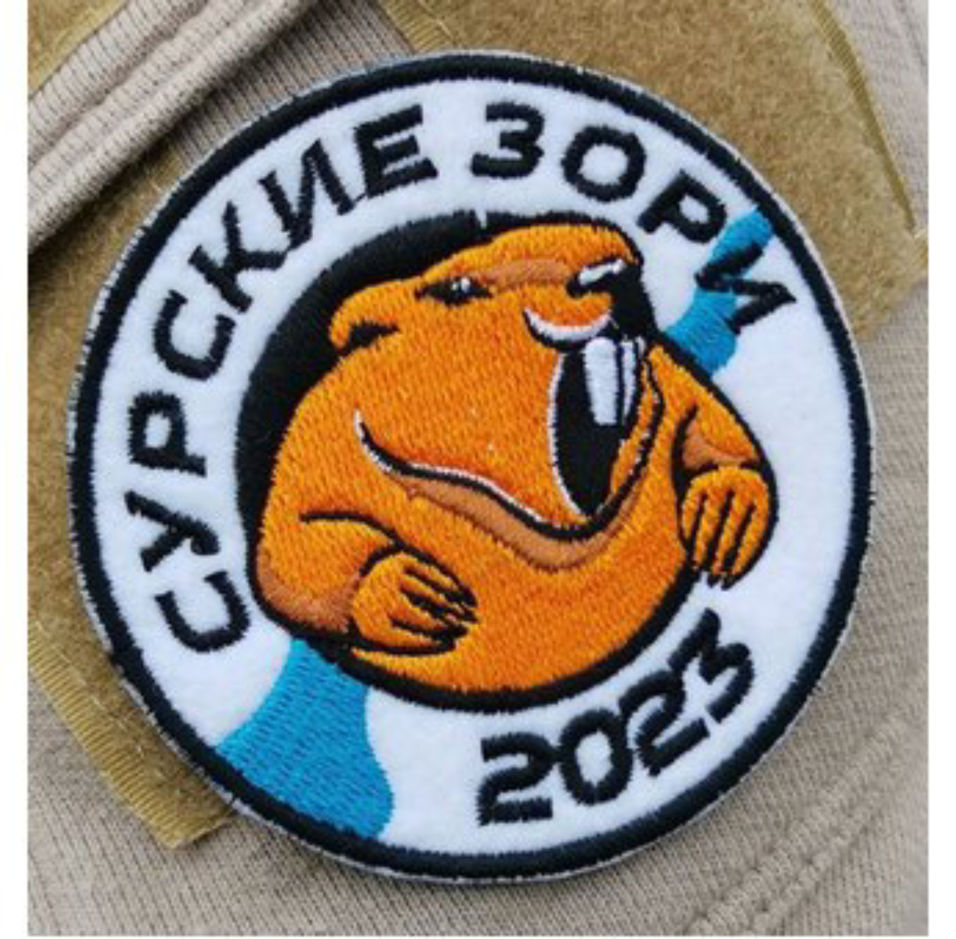 Сурские Зори 2023 (лето)