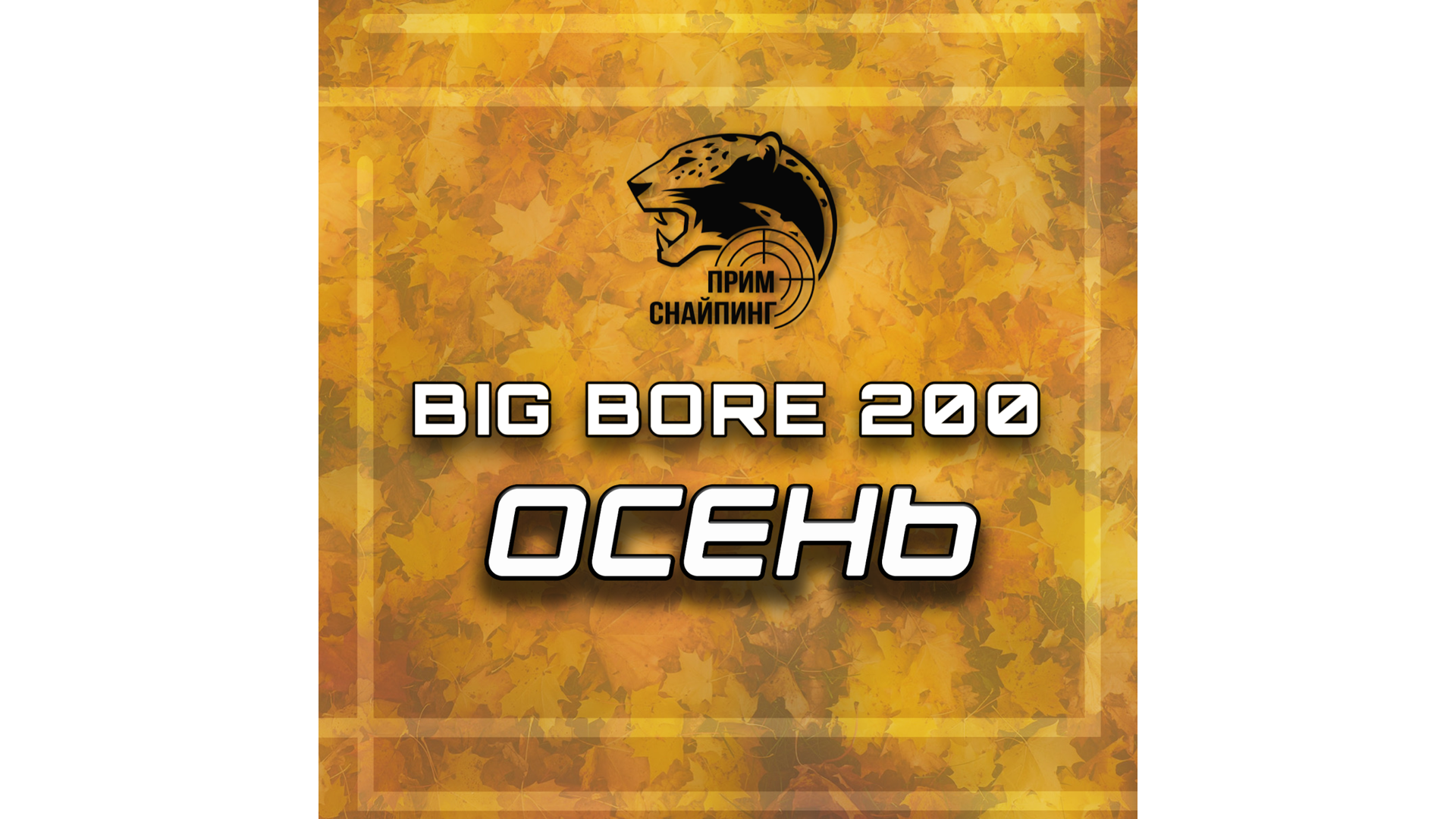 Силуэтная стрельба BIG BORE 200 (осень 2024)