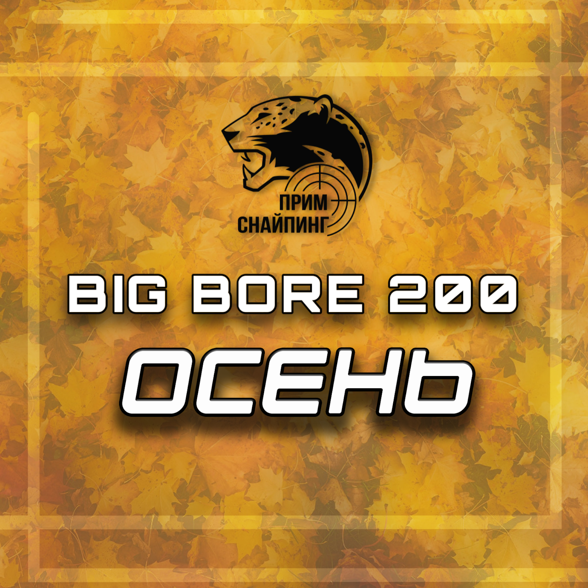 Силуэтная стрельба BIG BORE 200 (осень 2024)
