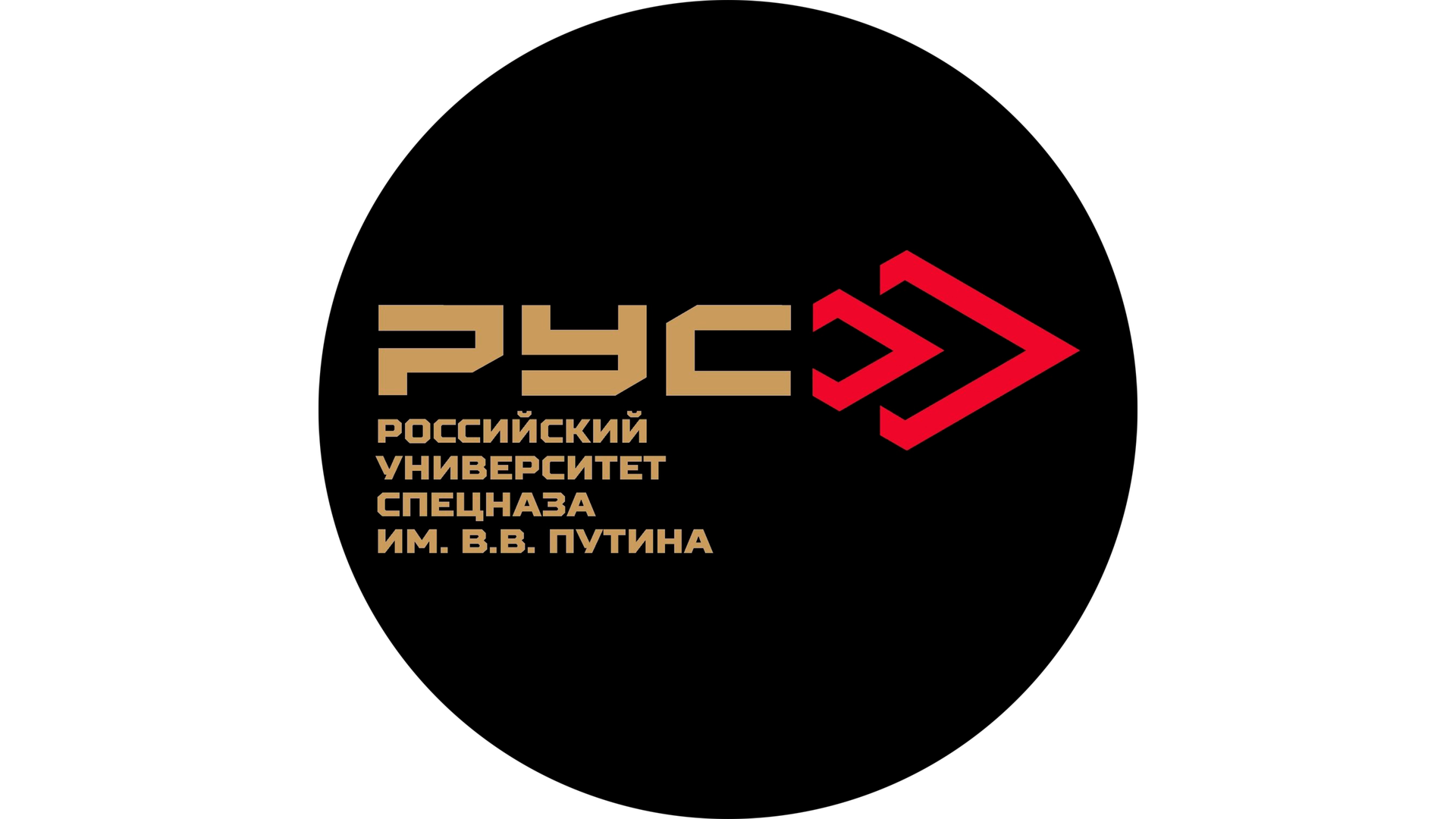 Тренировочные сборы «Классическая стрельба из винтовки». Гудермес - 2026