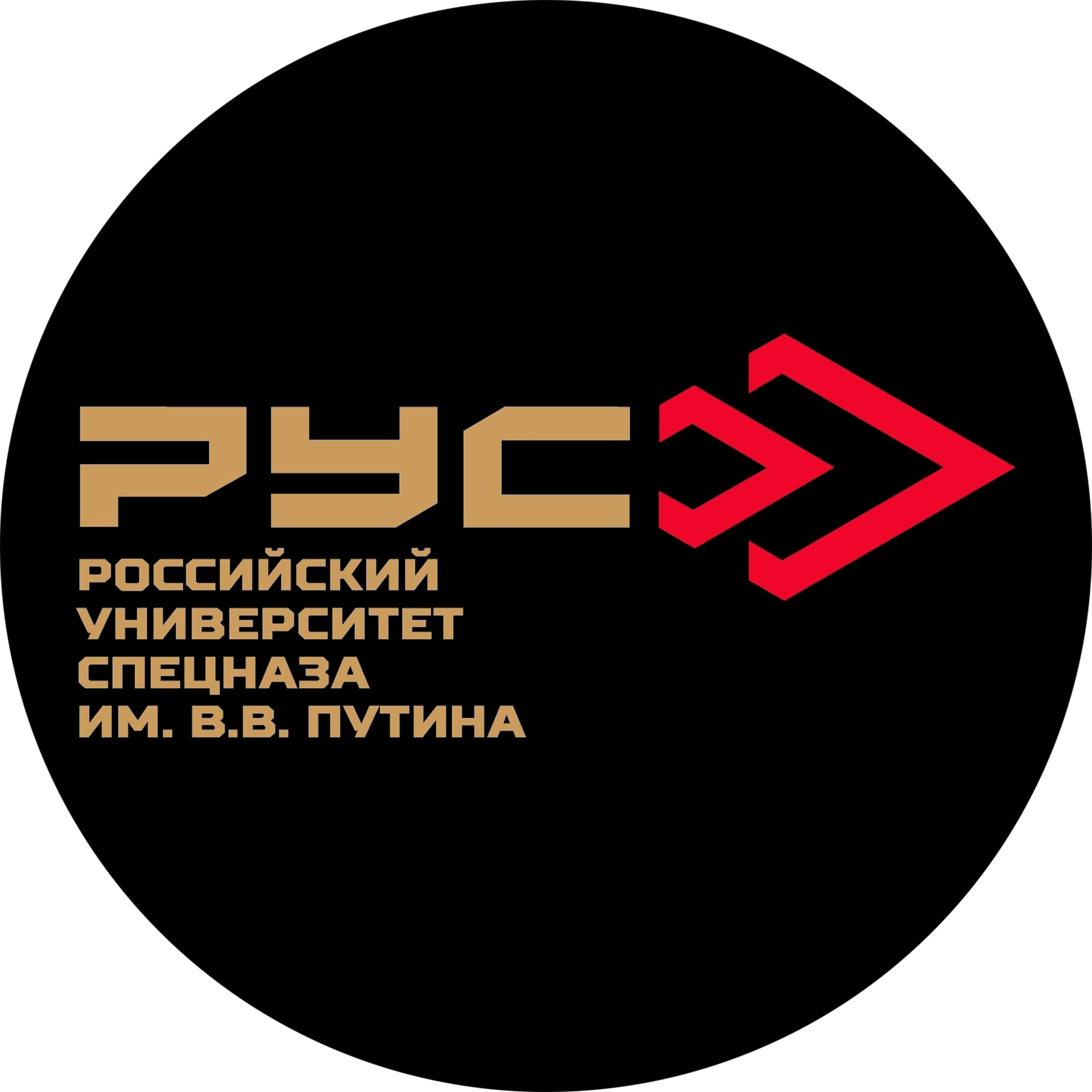 Тренировочные сборы «Классическая стрельба из винтовки». Гудермес - 2026