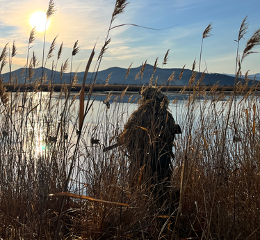 Лисовалов Денис  (Артем)