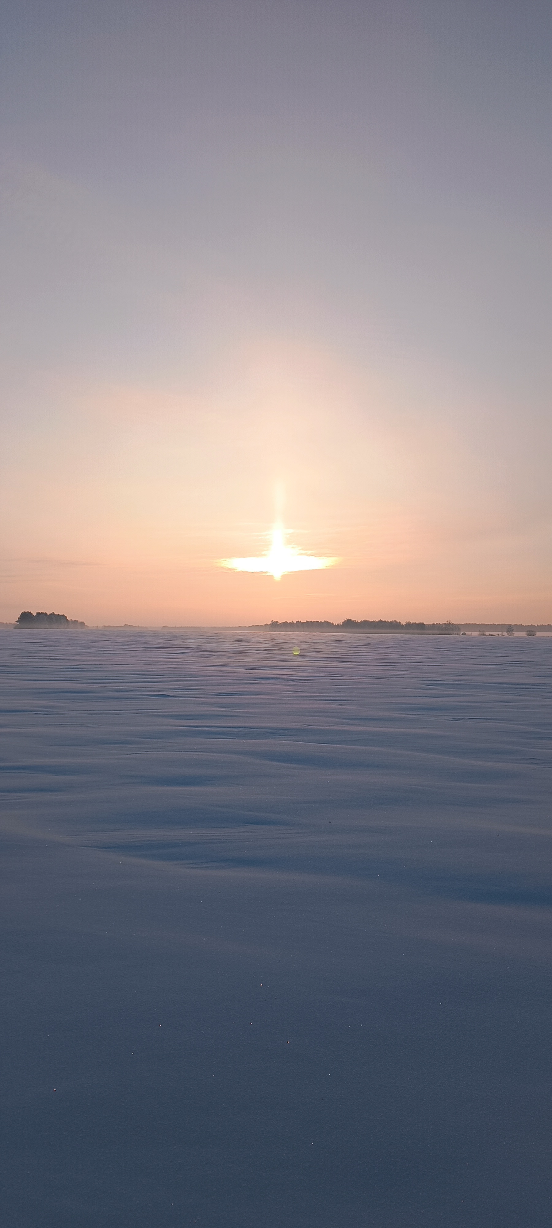Язынин Андрей Петрович